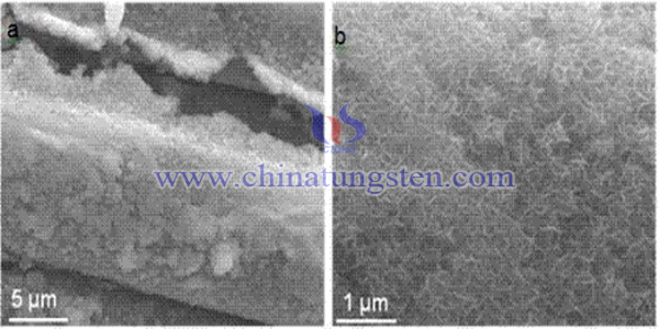 nano monolayer tungsten disulfide hydrothermal synthesis image