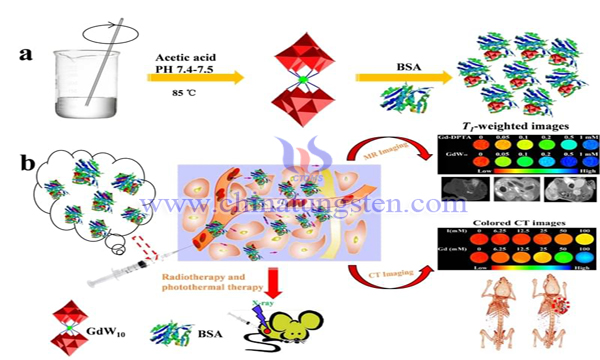 gadolinium polytungstate sensitizer modified by chitosan image