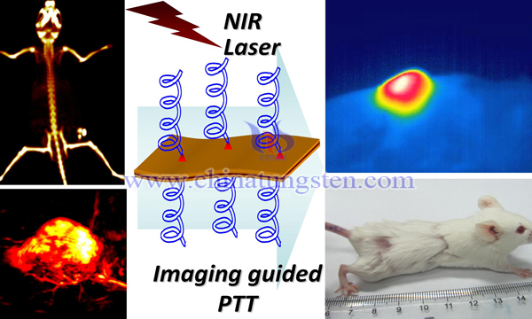 nano tungsten disulfide medical application image