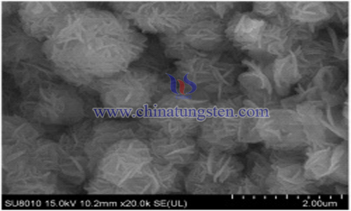 petal-shaped tungsten sulfide nanosphere image