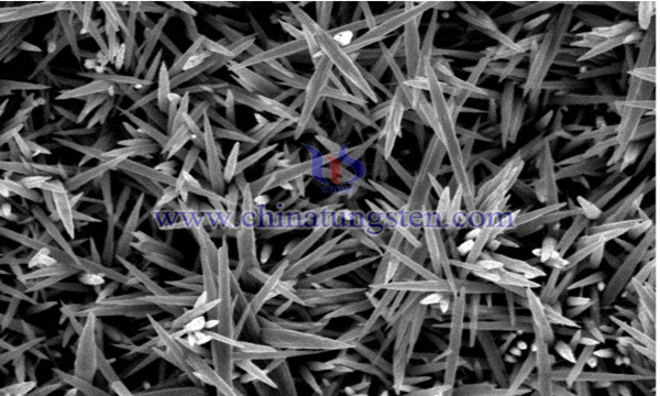 tungsten carbide--carbon nanotube composites image