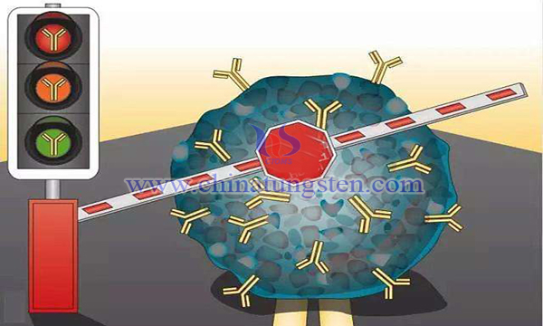 molybdenum tungsten complexes in anticancer and antineoplastic drugs image