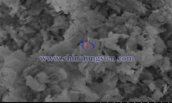 tungsten trioxide nanosheets preparation by thermal oxidation image