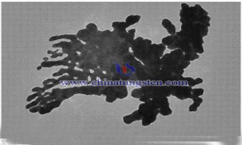 dendritic barium tungstate nanocrystals preparation by microemulsion method image