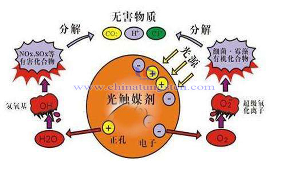 tungsten quantum dot photocatalyst image