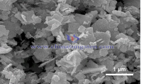 bismuth tungstate-polyphenylamine heterojunction photocatalyst image