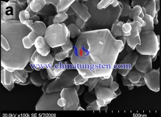 Tungsten powder