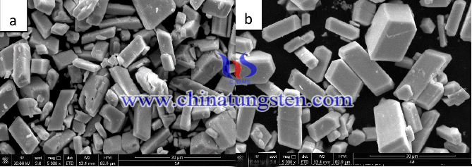 Tungsten oxide picture