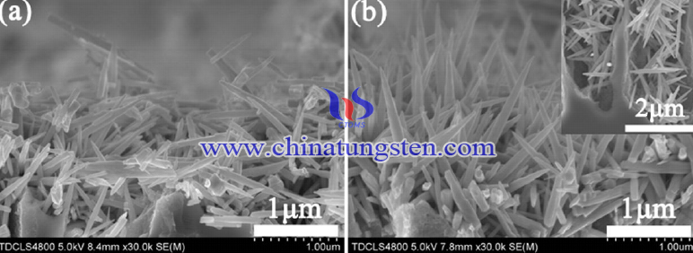 Tungsten oxide picture