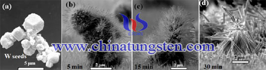 Tungsten oxide picture