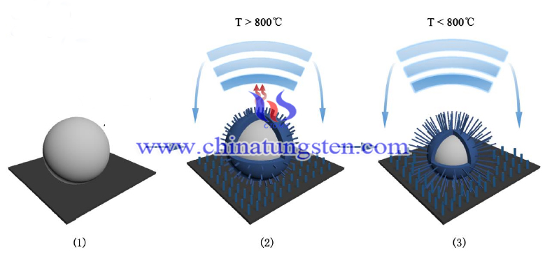 Tungsten oxide picture