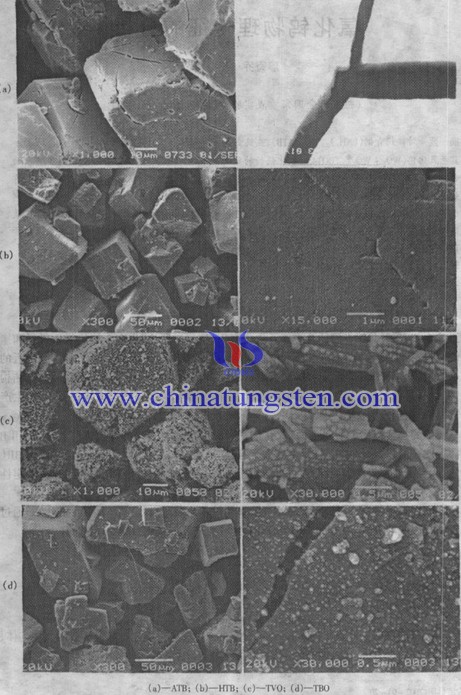 Tungsten powder