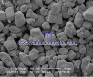 Tungsten powder