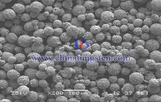 Nano-tungsten carbide powder structure picture