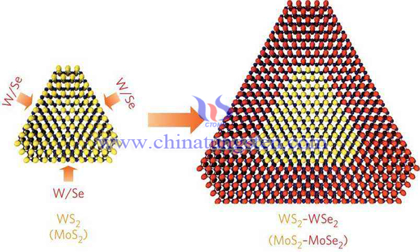 tungsten disulfide heterojunction picture