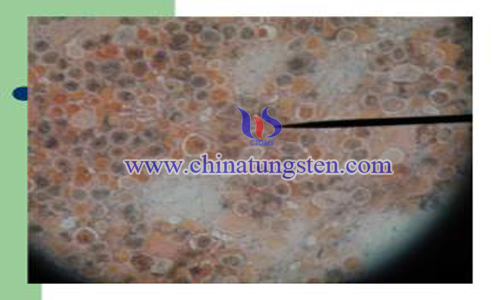 tungsten monoxide nano film picture