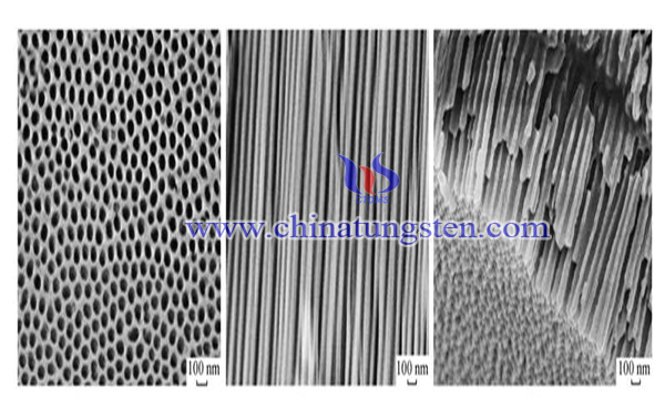 钨量子点和氧化钨纳米线图片