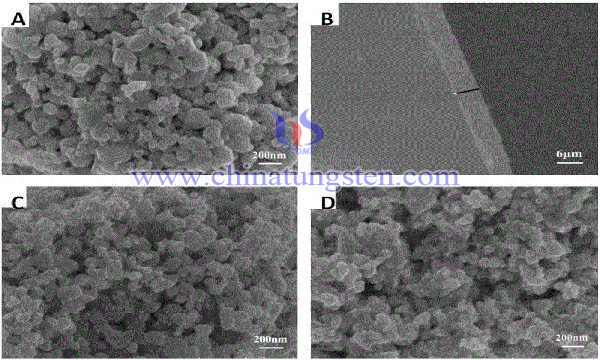 tungsten trioxide photocatalyst preparation image