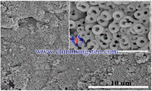 tungsten oxide photocatalyst loaded with titanium dioxide and copper ions image