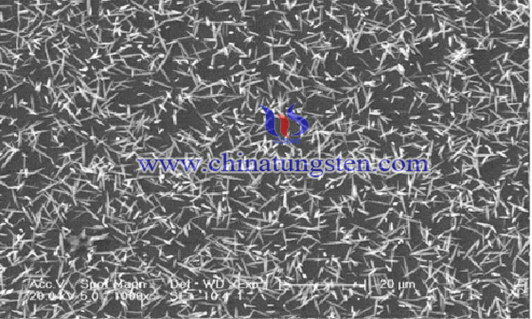 nano silver tungsten oxide photocatalyst coatings image