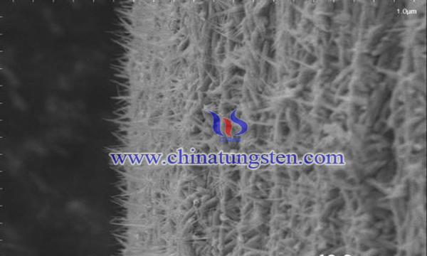 core-shell tungsten oxide copper oxide heterojunction nanowires image