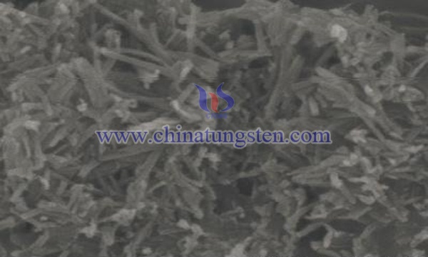 tetragonal nano tungsten oxide preparation by hydrothermal method image