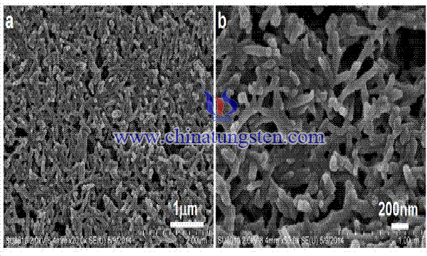 two-dimensional tungsten oxide-tin niobate nanosheet composite semiconductor materials image