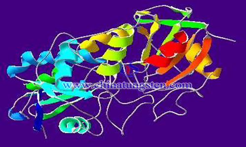 quantum dot tungsten oxide mimics peroxidase image