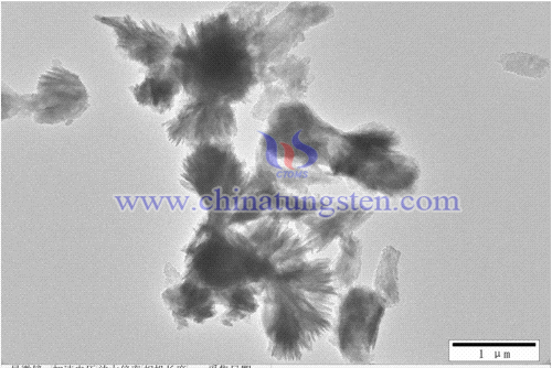 cobalt tungstate nano materials with cockscomb flower image