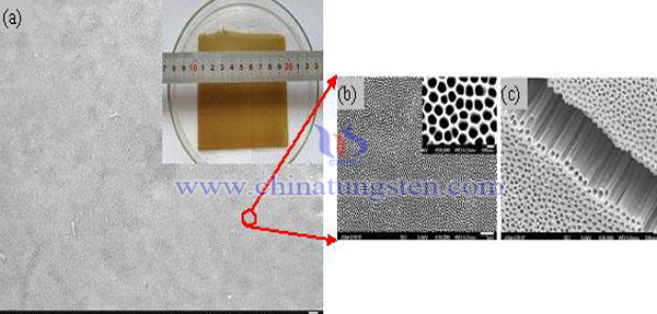 porous tungsten trioxide nano materials image