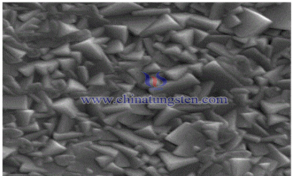 tungsten sulfide modified copper oxide hydrogen evolution photoelectrode image