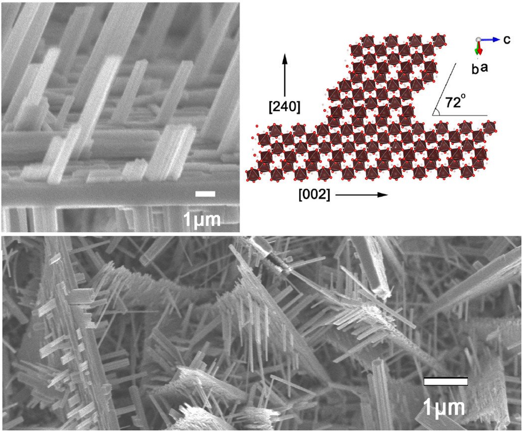 Tungsten trioxide nanosheet picture