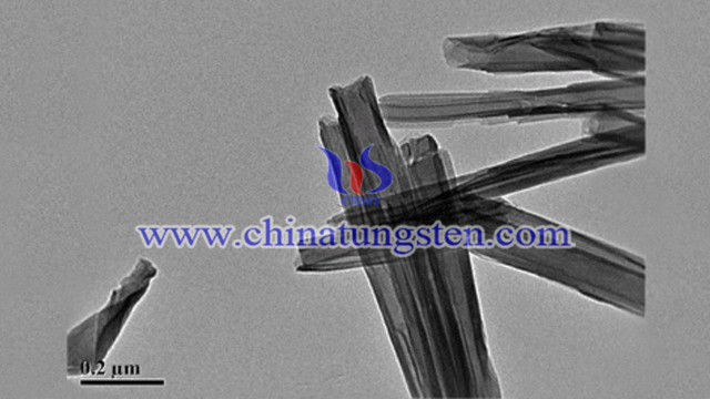 niobium tungsten oxides SEM photo