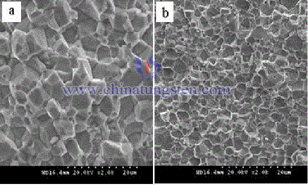 tantalum doped six square tungsten oxide nanomaterials image