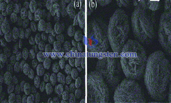 concave bismuth tungstate nanosheet electrocatalyst preparation image