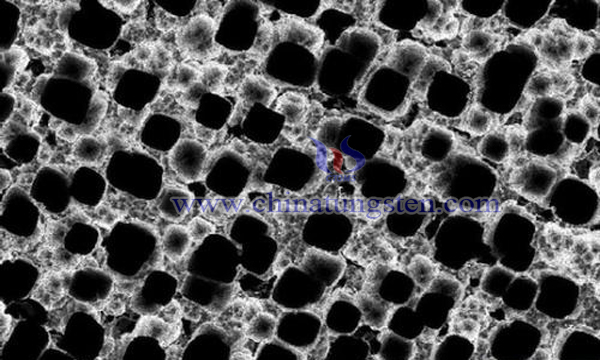 多孔硅与氧化钨纳米棒复合结构气敏材料图片