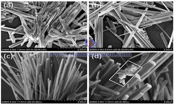 tungsten disulfide nanorods image