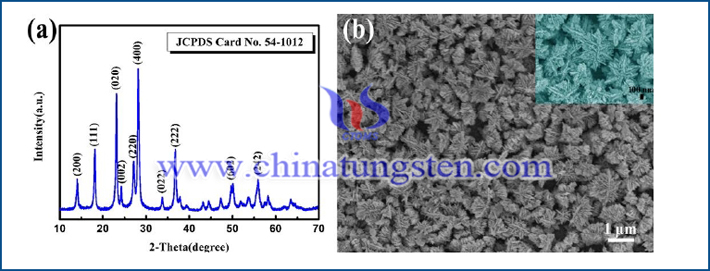 三氧化钨纳米盘的XRD图（a）以及场发射扫描电子显微镜照片（b）