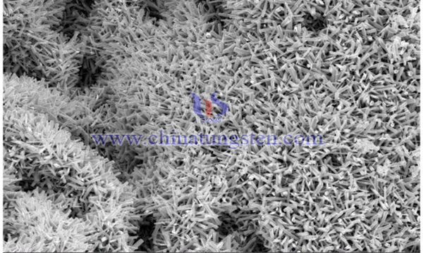 Copper-VOT Photocatalysts Image