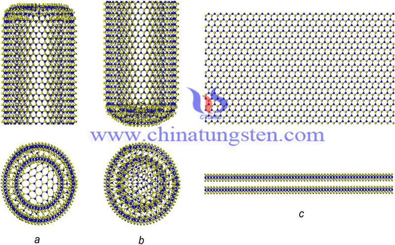 tungsten disulfide nanotube structure image-1