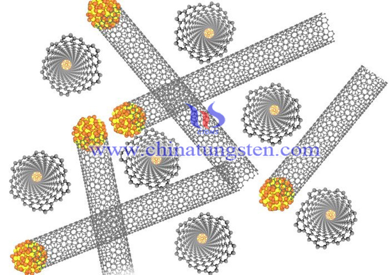 tungsten disulfide nanotube structure image-3