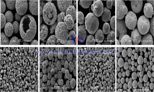 High Cobalt-Tungsten Carbide Powder Image