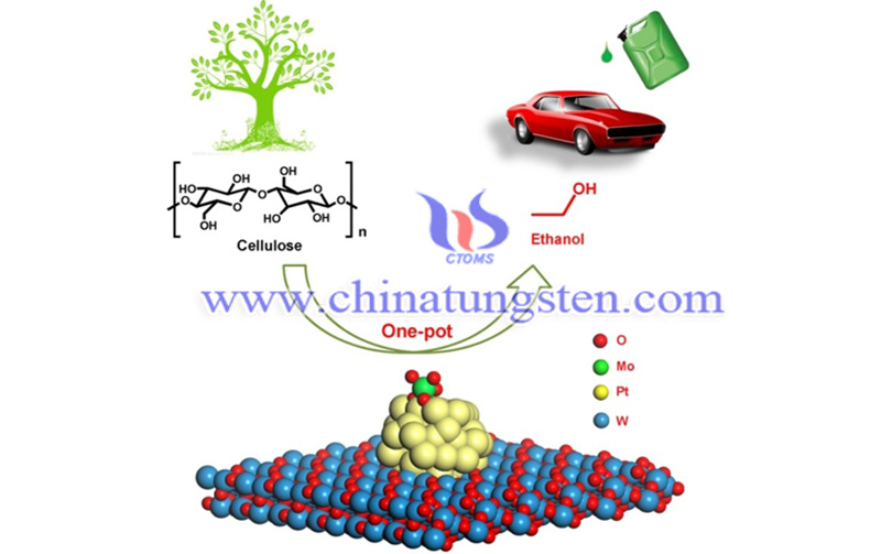 cellulose is efficiently converted to ethanol image