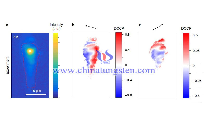 light polarization spatial distribution image 1