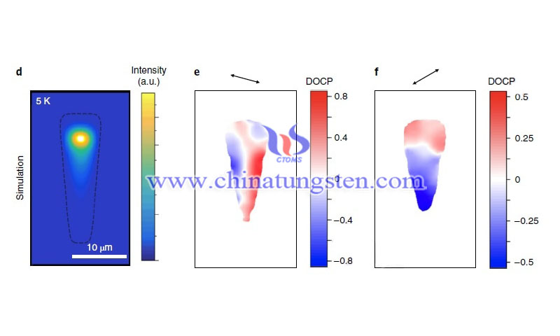 light polarization spatial distribution image 2