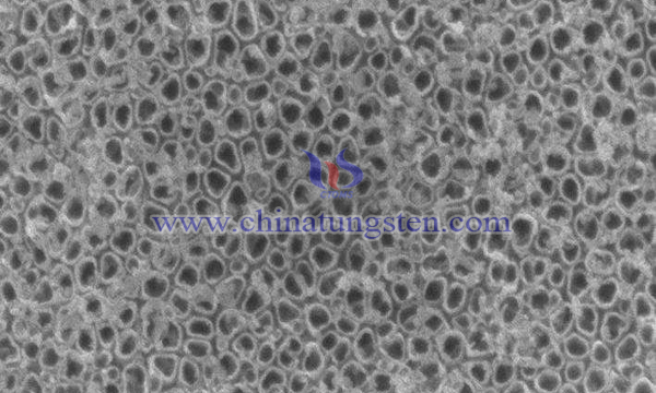 Titanium-Tungsten Alloy Oxide Nanotube Array Image