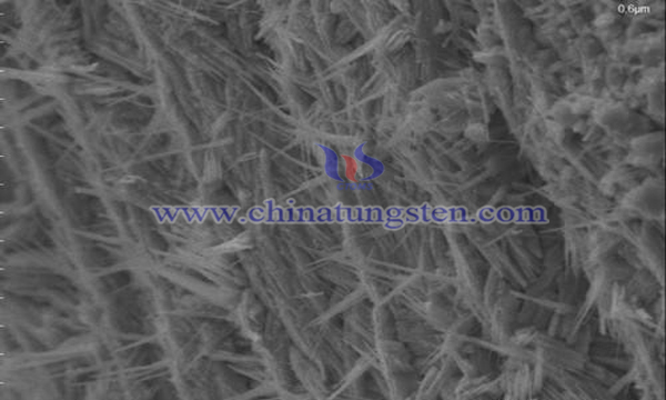 Tungsten Oxide Nanowires Image