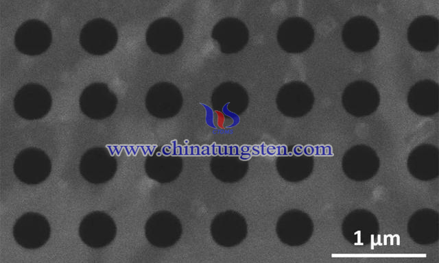 波導結構的掃描電子顯微鏡圖像：懸掛的二硫化鎢單層刻有納米孔