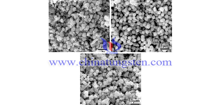 红外紫外线阻隔材料用氧化钨纳米球粒子SEM表面形貌图片