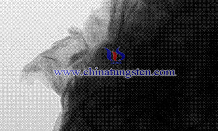 納米二硫化鎢圖片 納米二硫化鎢圖片